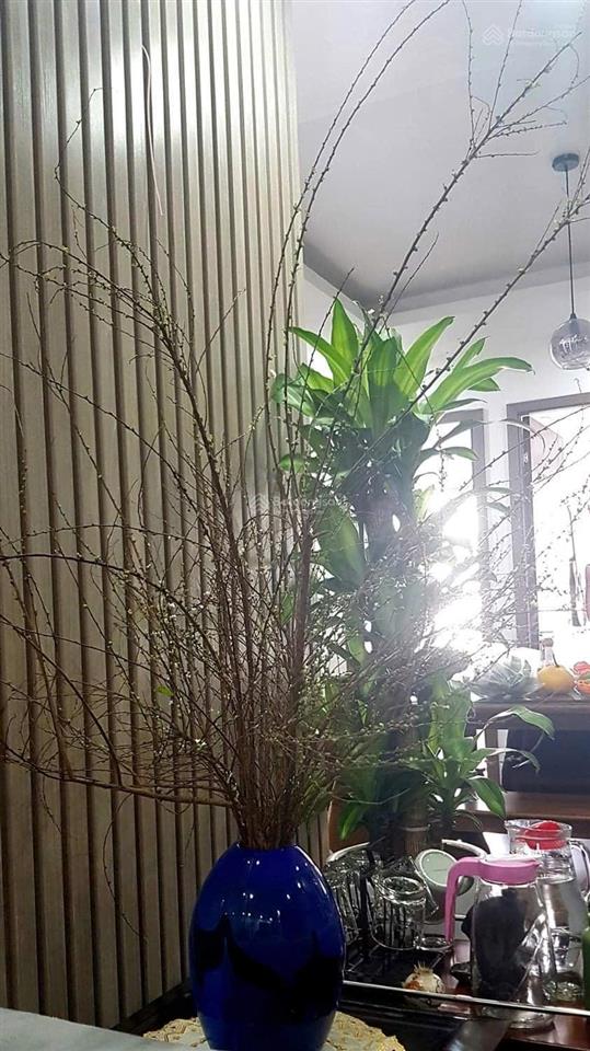 Cc cho thuê căn hộ cao cấp tại 35 lê văn thêm  full nội thất nhật  có slot ô tô