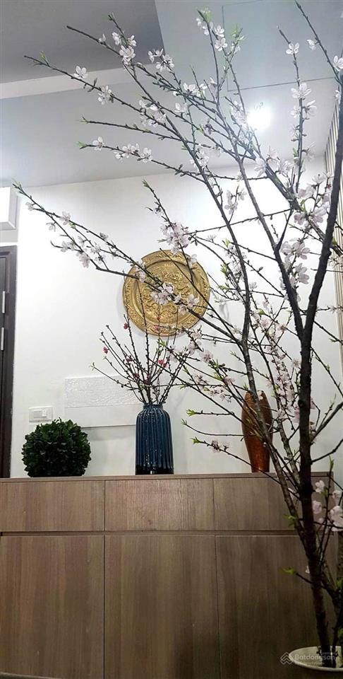 Cc cho thuê căn hộ cao cấp tại 35 lê văn thêm  full nội thất nhật  có slot ô tô