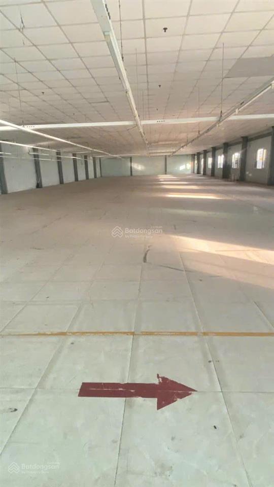 Cho thuê kho xưởng tân thới nhất 8 quận 12 dt xưởng 1 trệt 1 lầu 2300m² sân 800m² giá 250tr pccc