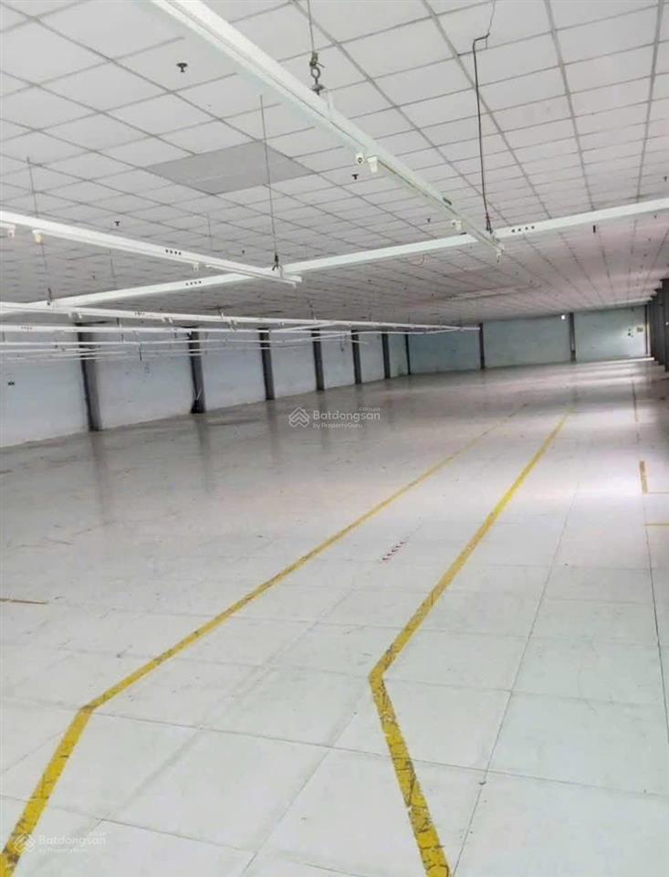 Cho thuê kho xưởng tân thới nhất 8 quận 12 dt xưởng 1 trệt 1 lầu 2300m² sân 800m² giá 250tr pccc