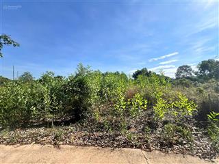 Bán đất suối cao xuân lộc, đồng nai | gần khu vực núi chứa chan