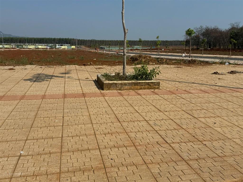 Đất nền 100m trung tâm dầu giây  điểm nóng hạ tầng kết nối sân bay long thành