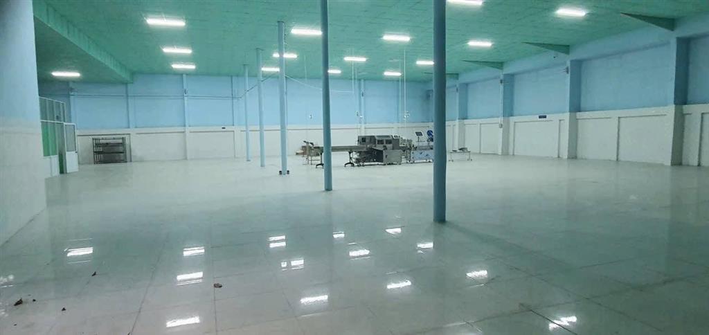 CHO THUÊ KHO XƯỞNG MẶT TIỀN TL8 TÂN THẠNH ĐÔNG 2000M2 45TR