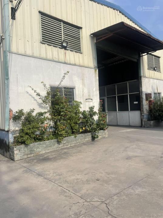 🔥 KHO XƯỞNG 1.000M² – ĐÔNG HƯNG THUẬN, QUẬN 12  MÁI CAO 8M – ĐIỆN 3 PHA