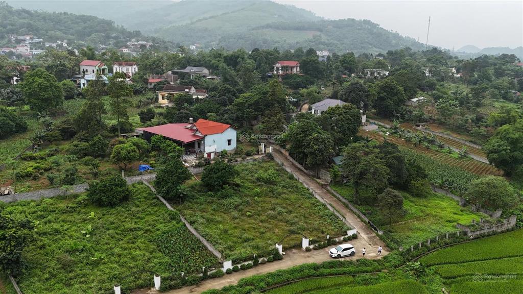 Cơ hội đầu tư bỏ vốn nhỏ  thu dòng tiền ngay với mô hình farmstay view núi tại lương sơn hoà bình
