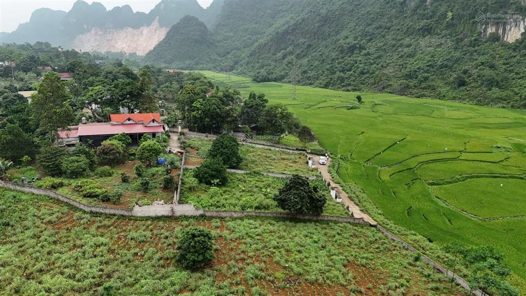 Cơ hội đầu tư bỏ vốn nhỏ  thu dòng tiền ngay với mô hình farmstay view núi tại lương sơn hoà bình
