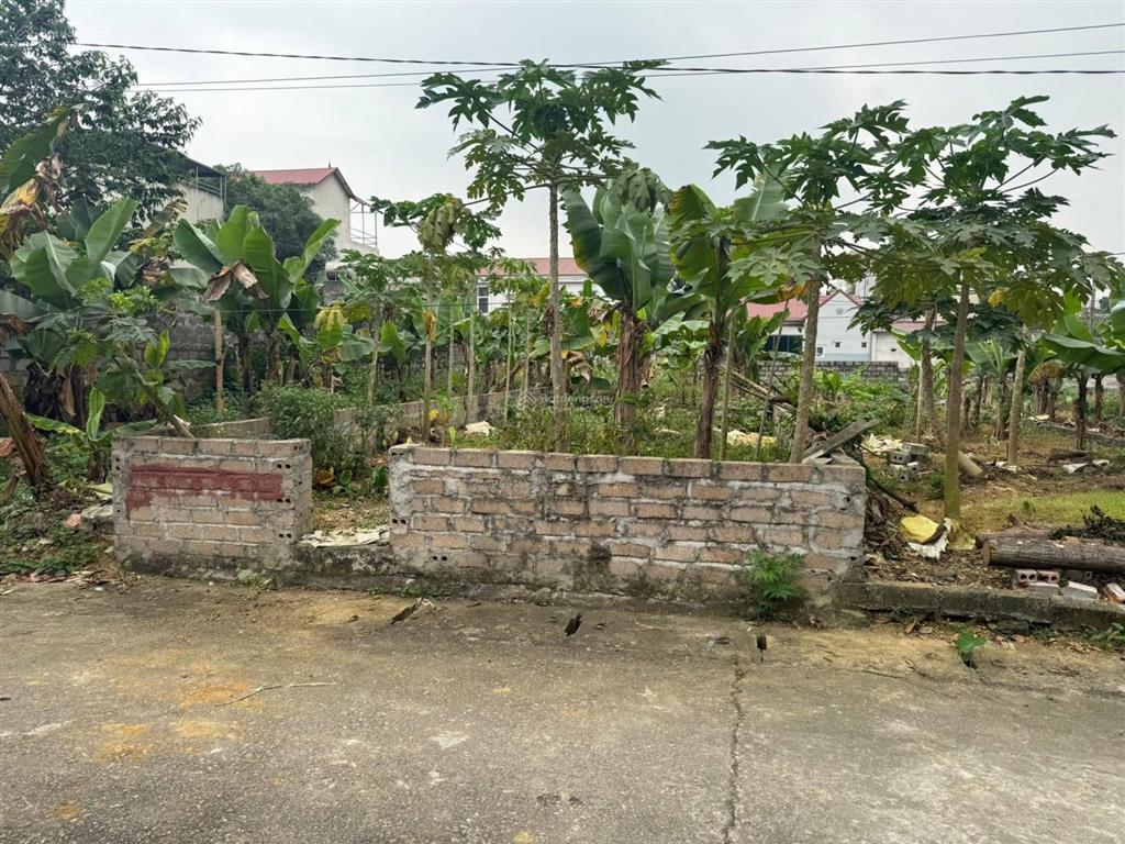 120m đất tái định cư văn mỹ giá tốt nhất trong khu hơn 2 tỷ tý