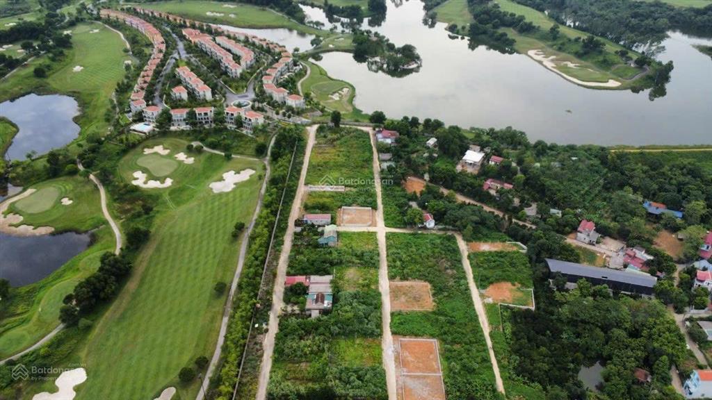 Đất đấu giá 352 mét phun thổ cư lô góc vị trí tốt giá rất hợp lý