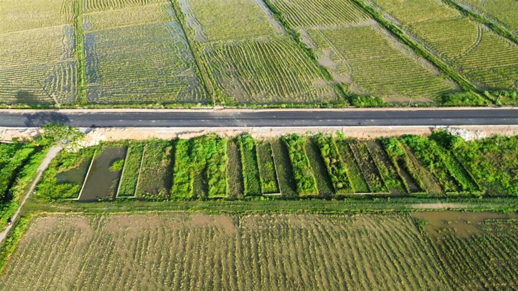 Đất đấu giá khu trũng mét mặt đường liên xã giá hời khu, 1 lô hiếm có ạ