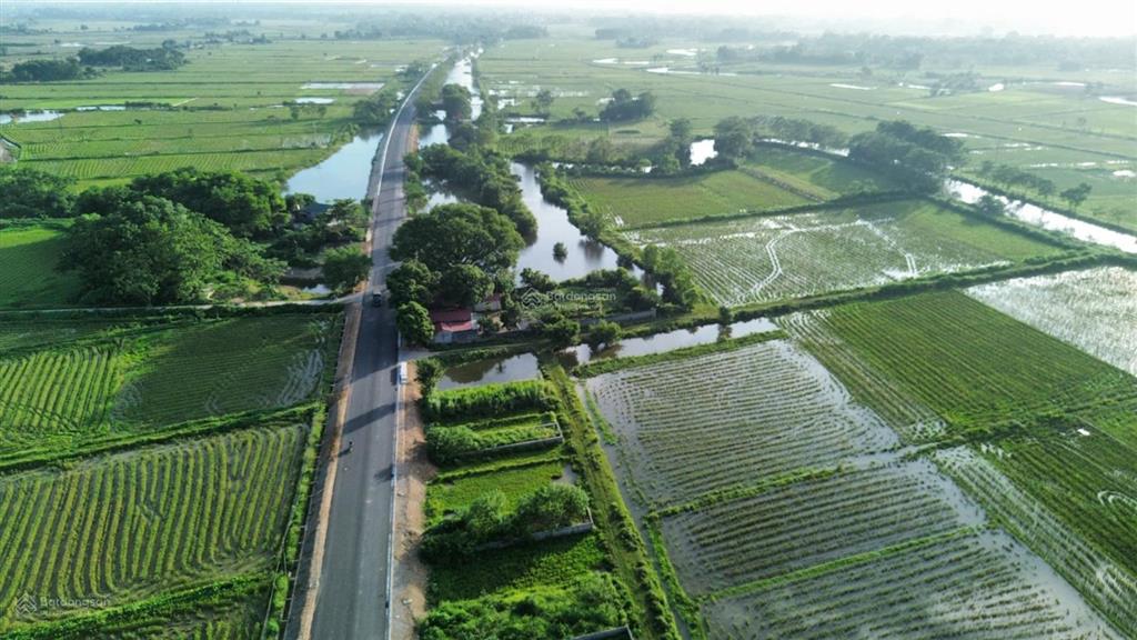 Đất đấu giá khu trũng mét mặt đường liên xã giá hời khu, 1 lô hiếm có ạ