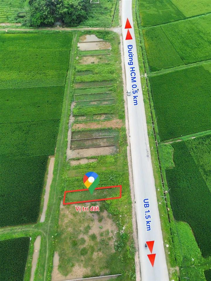 Đất đấu giá khu trũng mét mặt đường liên xã giá hời khu, 1 lô hiếm có ạ