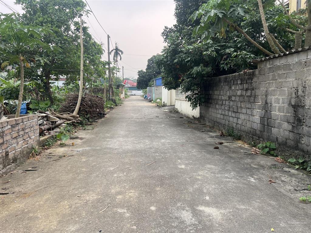  đất tái định cư văn mỹ giá hời khu, giá cắt lỗ chưa đến 2 tỷ