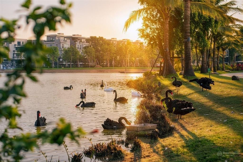 Vuông vức 100m2 mặt tiền hơn 8m