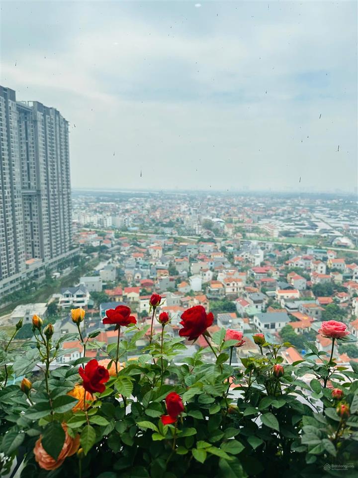 Duplex tầng trung  toà cao cấp nhất s  premium sky oasis  view sông hồng  full nội thất