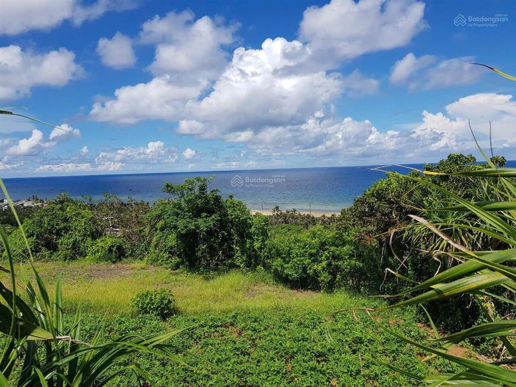 Bán gấp 1.26ha đất view biển đảo phú quý quỹ đất lớn, giá 9.8 tỷ
