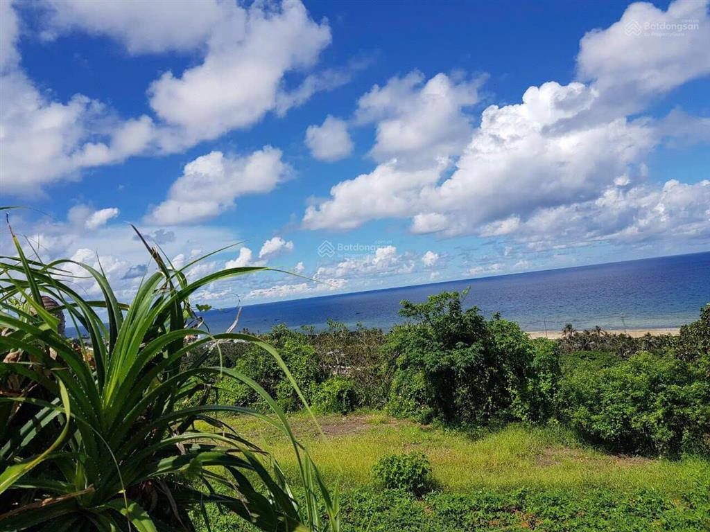 Bán gấp 1.26ha đất view biển đảo phú quý quỹ đất lớn, giá 9.8 tỷ