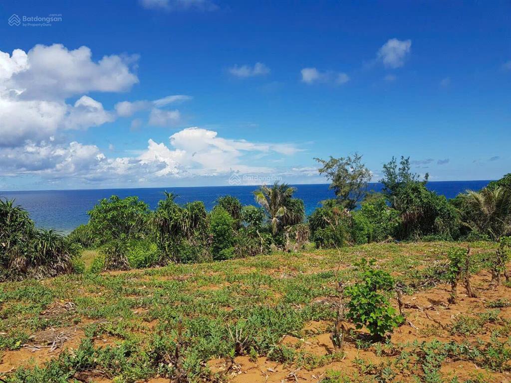 Bán gấp 1.26ha đất view biển đảo phú quý quỹ đất lớn, giá 9.8 tỷ