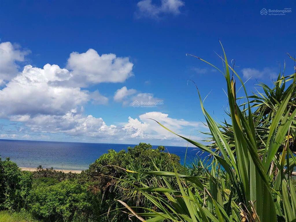 Bán gấp 1.26ha đất view biển đảo phú quý quỹ đất lớn, giá 9.8 tỷ