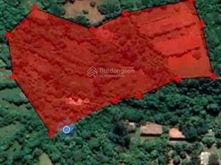 Bán gấp 1.26ha đất view biển đảo phú quý quỹ đất lớn, giá 9.8 tỷ