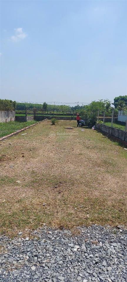 Chính chủ bán đất củ chi 251,4m², shr, đường xe hơi, pháp lý sạch 100%, giao dịch ngay