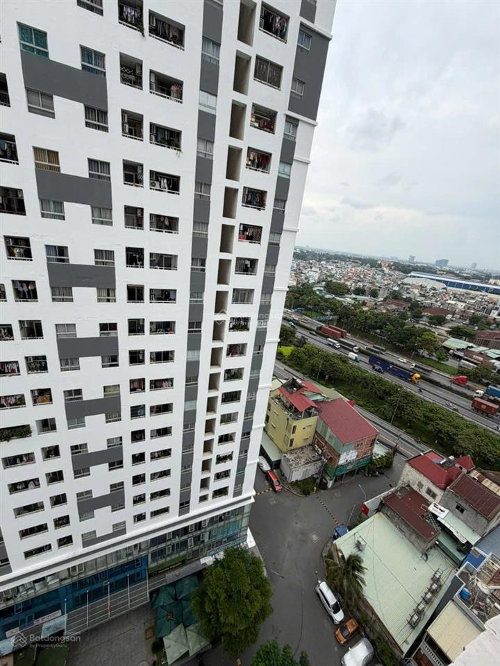 Bán nhanh căn hộ 1pn, 1wc chung cư sen hồng  giá 1,47 tỷ, sổ hồng lâu dài
