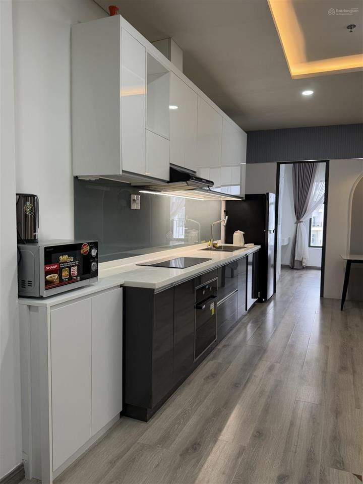 Cho thuê căn hộ 1pn, 1wc, 50m2 tại monarchy b, 13 triệu vnd