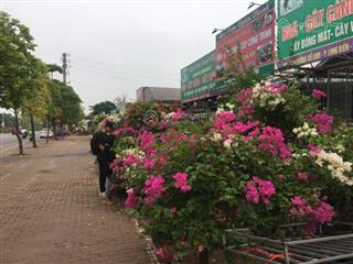 Độc quyền siêu phẩm đất vàng đối diện aeon mall long biên mặt tiền 14m đường 45m