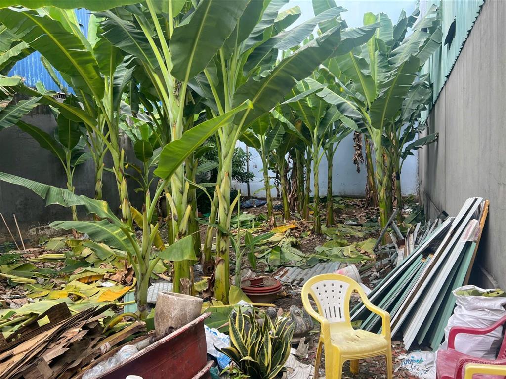 Bán đất phường 16 quận 8, gần trương đình hội, võ văn kiệt, 5x18.5m, chỉ 6 tỷ