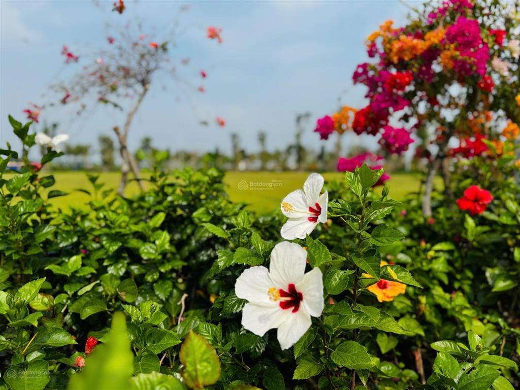 Siêu hiếm! duy nhất 1 căn thiên nga 8 kề ubnd tây ninh mới, ôm trọn hồ 8ha. chốt ngay