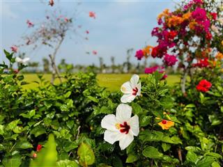 Nhà phố liền kề ubnd tỉnh tây ninh mới  ôm trọn hồ thiên nga 8ha! duy nhất 1 căn đường thiên nga 8