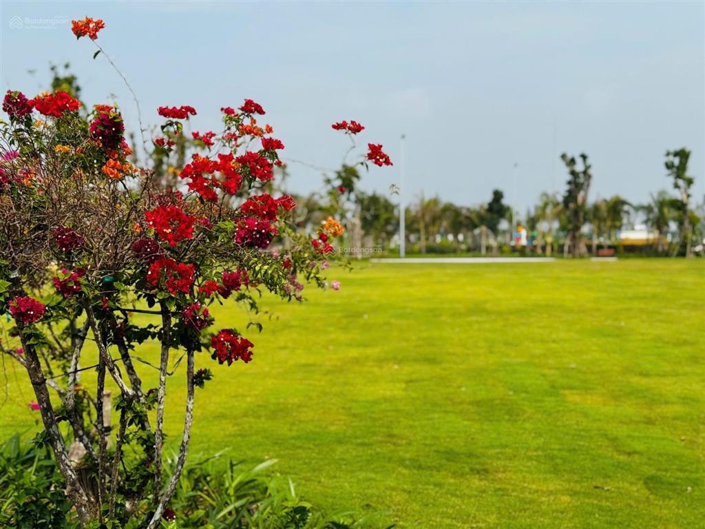 Siêu hiếm! duy nhất 1 căn thiên nga 8 kề ubnd tây ninh mới, ôm trọn hồ 8ha. chốt ngay