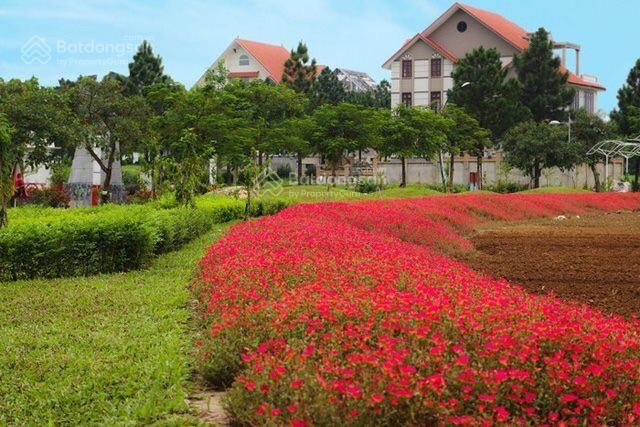 Cần bán nhanh ô biệt thự 400m2, dự án the phoenix garden  vị trí sát kênh điều hòa
