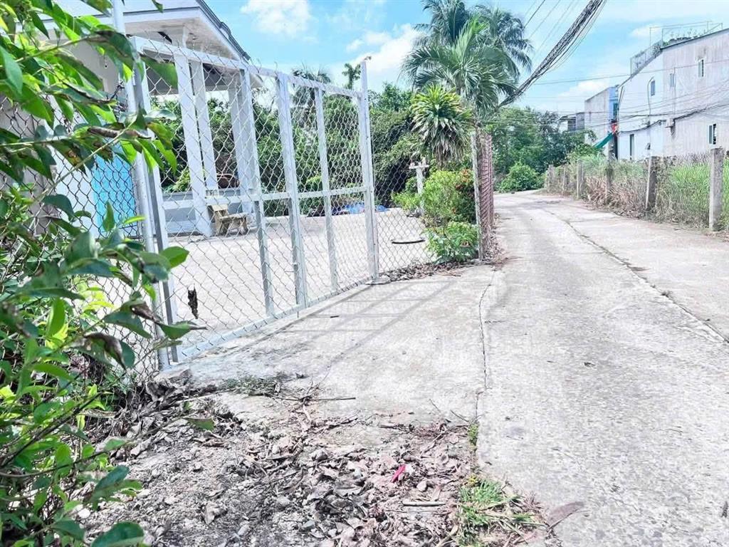 Bán đất vườn 600m2 giá 800tr xã mỹ lộc cần giuộc long an, shr đg xe hơi đất sạch không qui hoạch