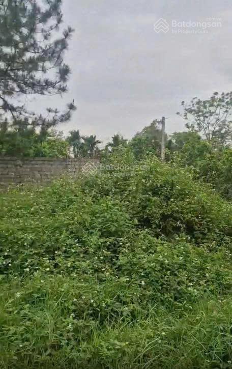 Bán hơn 8000m ở thị trấn xuân mai, thế đất cực đẹp,  giá rẻ chỉ vài triệu/m.  0979 855 ***