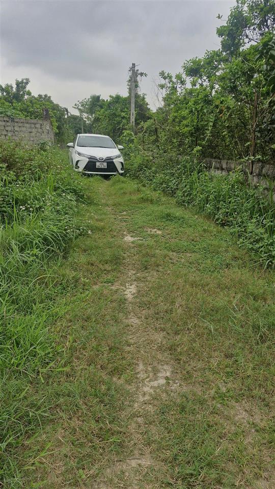 Bán hơn 8000m ở thị trấn xuân mai, thế đất cực đẹp,  giá rẻ chỉ vài triệu/m.  0979 855 ***