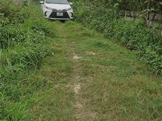 Bán hơn 8000m ở thị trấn xuân mai, thế đất cực đẹp,  giá rẻ chỉ vài triệu/m.  0979 855 ***