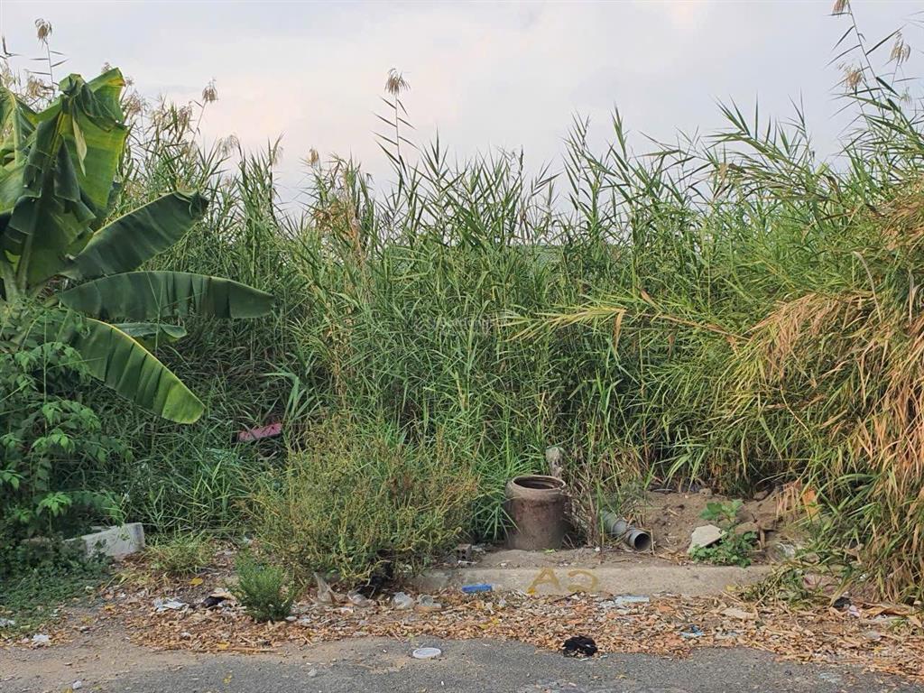 Bán gấp đất kdc tăng long garden q9 ngang 6,5m hiếm đường nhựa 9m chỉ 4,92 tỷ tl mạnh
