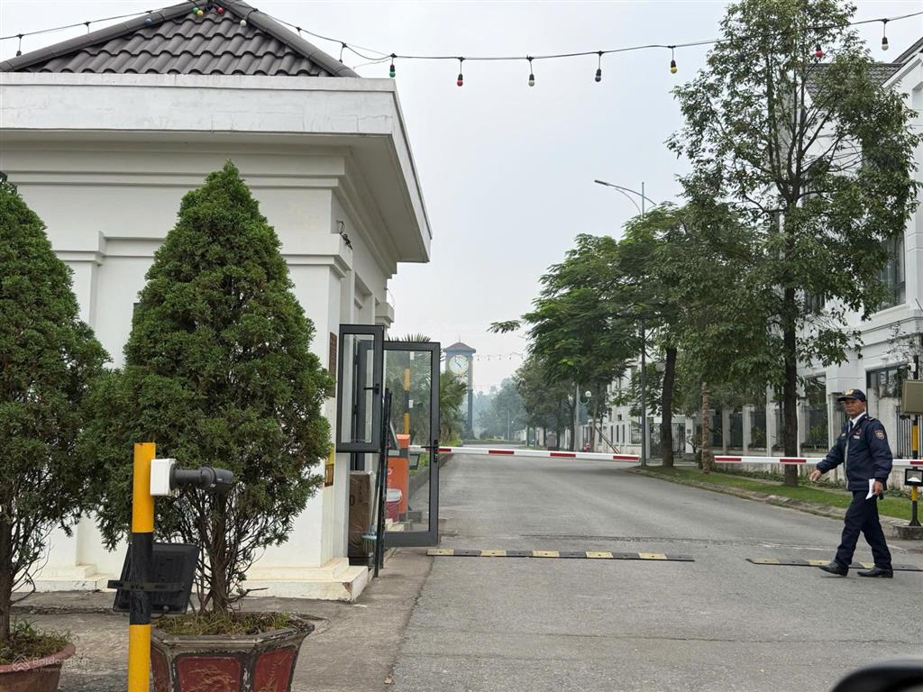 Giá hời vĩnh yên! 299m2 đất vàng mậu lâm đầm vạc, sổ đỏ sẵn giao dịch
