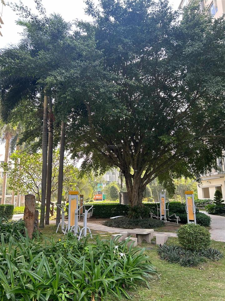 Cần bán căn hộ phú mỹ quận 7, tầng cao view đẹp, 3pn diện tích 117m2 giá bán 6,7 tỷ.  0986 766 ***