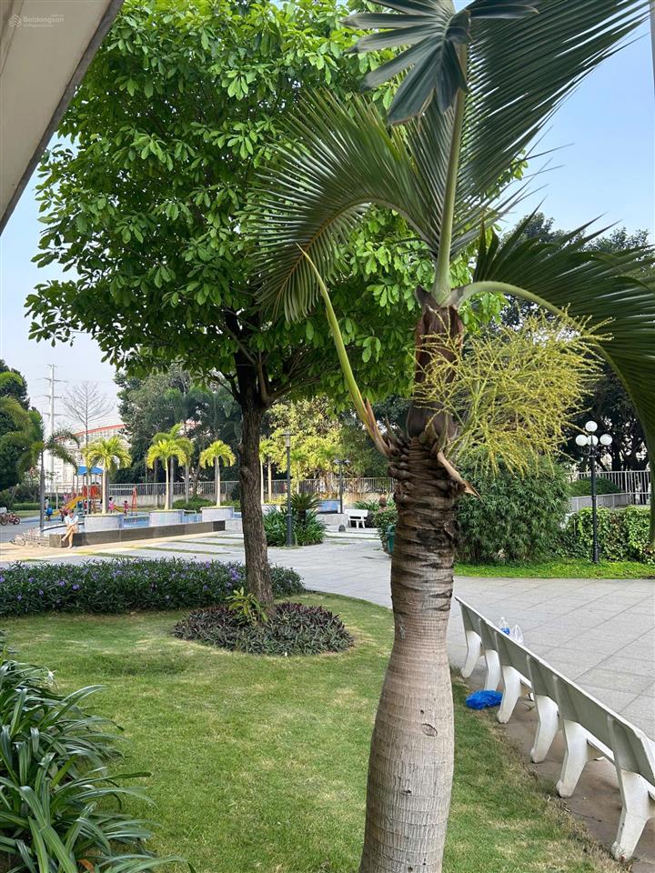 Cần bán căn hộ phú mỹ quận 7, tầng cao view đẹp, 3pn diện tích 117m2 giá bán 6,7 tỷ.  0986 766 ***