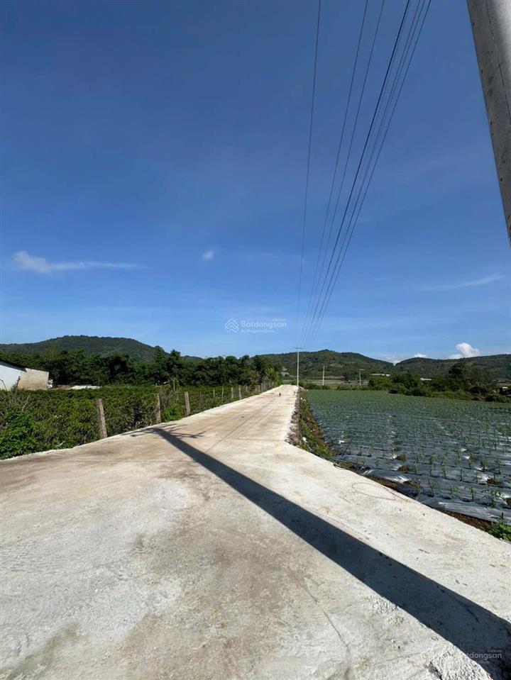 Giá hời, sở hữu ngay lô đất view núi, ruộng cách sân bay liên khương 7km