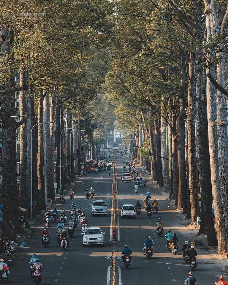 Mặt tiền nguyễn chí thanh, phường 7, quận 10, 4.2m x 18m, dtcn 74m2 giá 29,9 tỷ tl 0906 998 ***