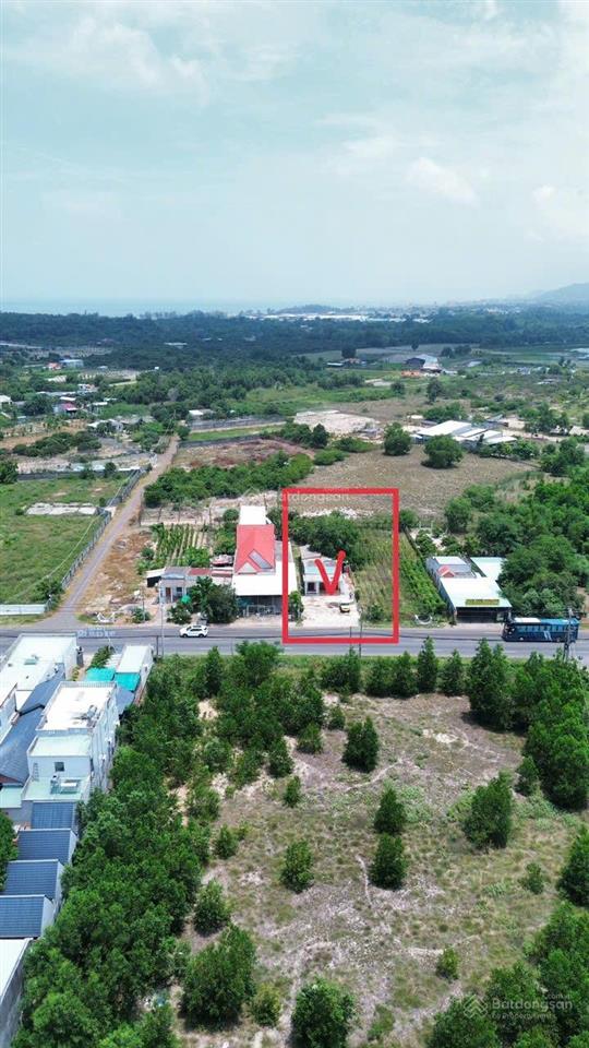 Đất mặt tiền đường ven biển vũng tàu bình châu. chủ ngộp bán gấp giá chỉ 10,7 tr/m2 ngang 11 dài 50