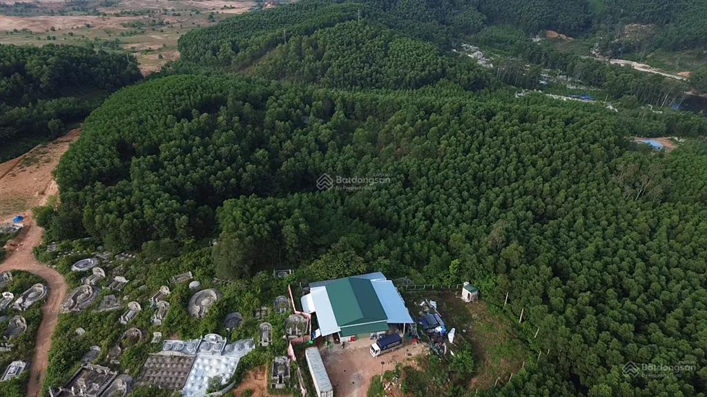 Bán đất tại vinh hưng, 950 triệu, 250 m2 giá cực chất uy tín