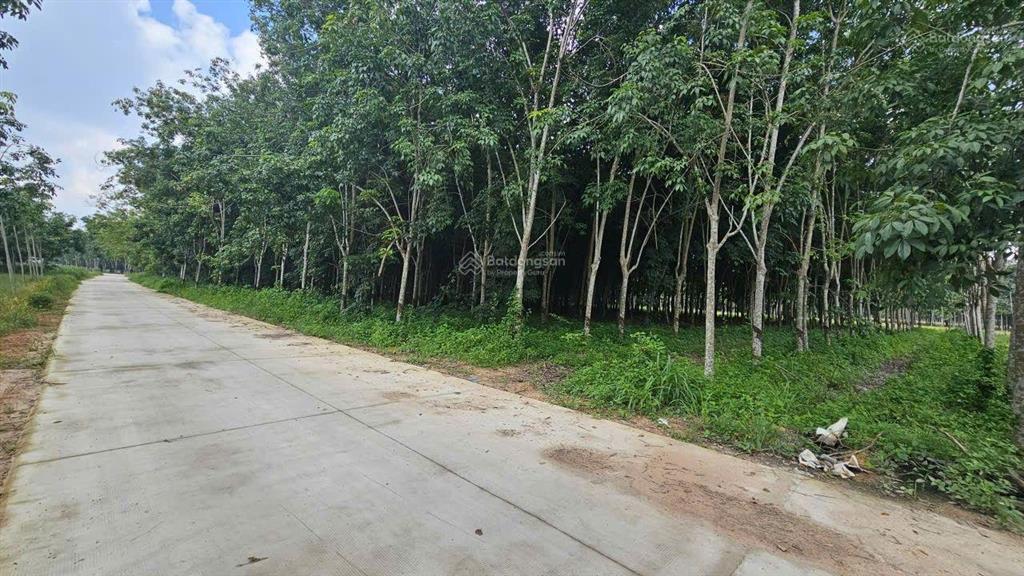 Bán đất nhánh đường dt741. dt 9.465m2 có 1500m2 tc giá chỉ 2,85tr/m2 phù hợp phân lô hoặc xd xưởng