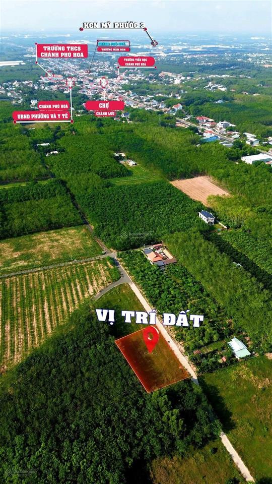Chánh phú hòa cph 045. (42 x 40m) gđ cần bán gấp