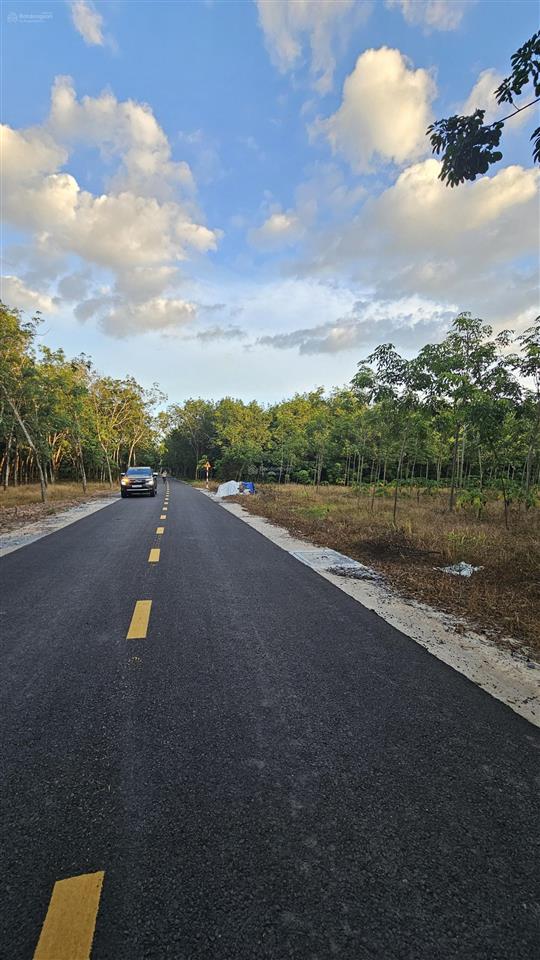 Bán đất dân tọa lạc phường hòa lợi, giá chỉ 2,2 triệu/m2, 15632m2