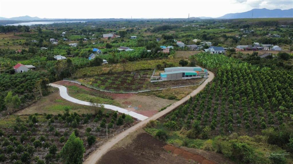 Bán lô đất 183m2 có 80m2 thổ cư sổ riêng