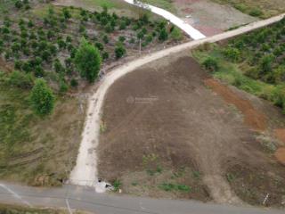 Bán lô đất 183m2 có 80 thổ cư sổ riêng