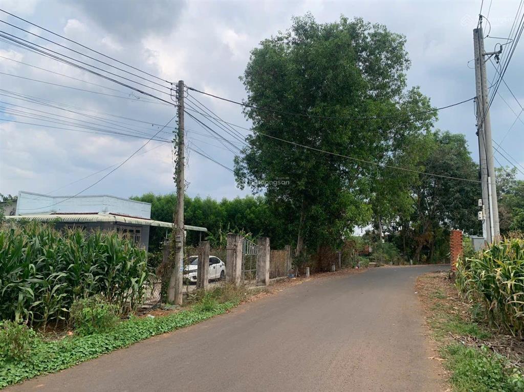 Bán đất nhà vườn bình giã 500m2, 240m2 thổ cư cách sân bay long thành 30 phút